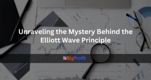 Unraveling the Mystery Behind the Elliott Wave Principle